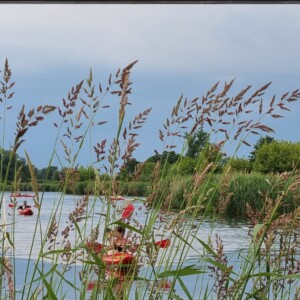 IMG-20240617-WA0000