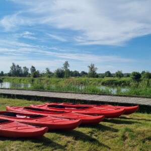 IMG-20240617-WA0002